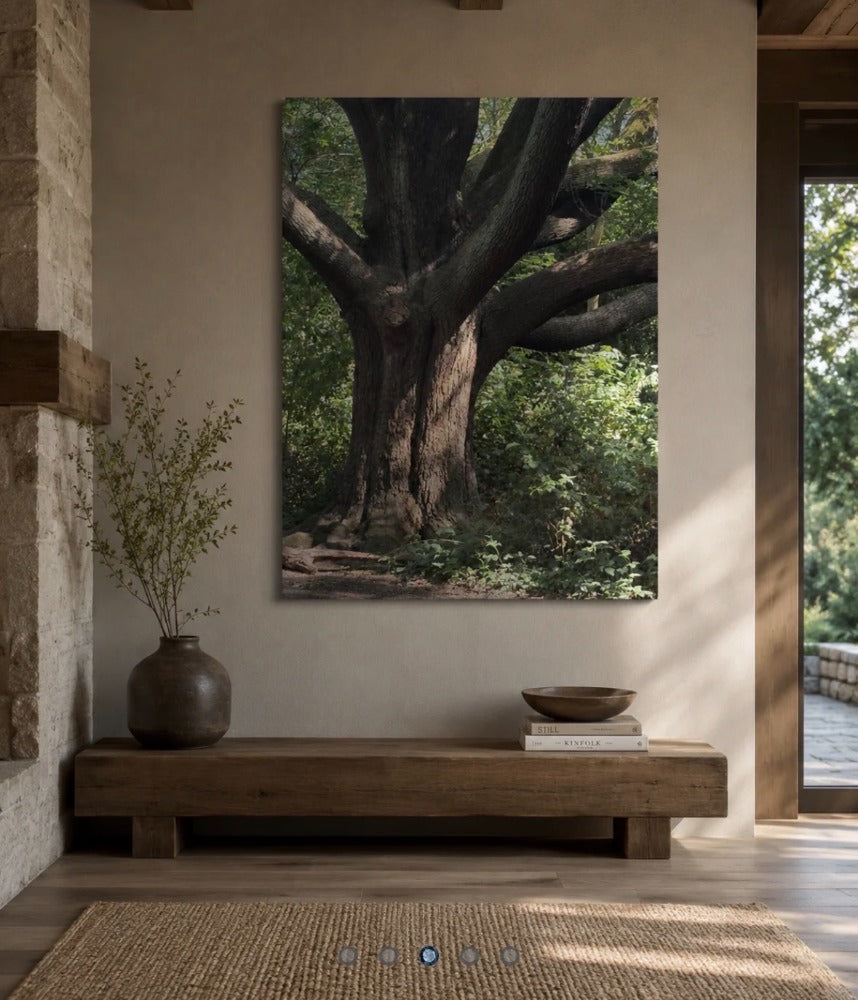 The Quiet Path Collection