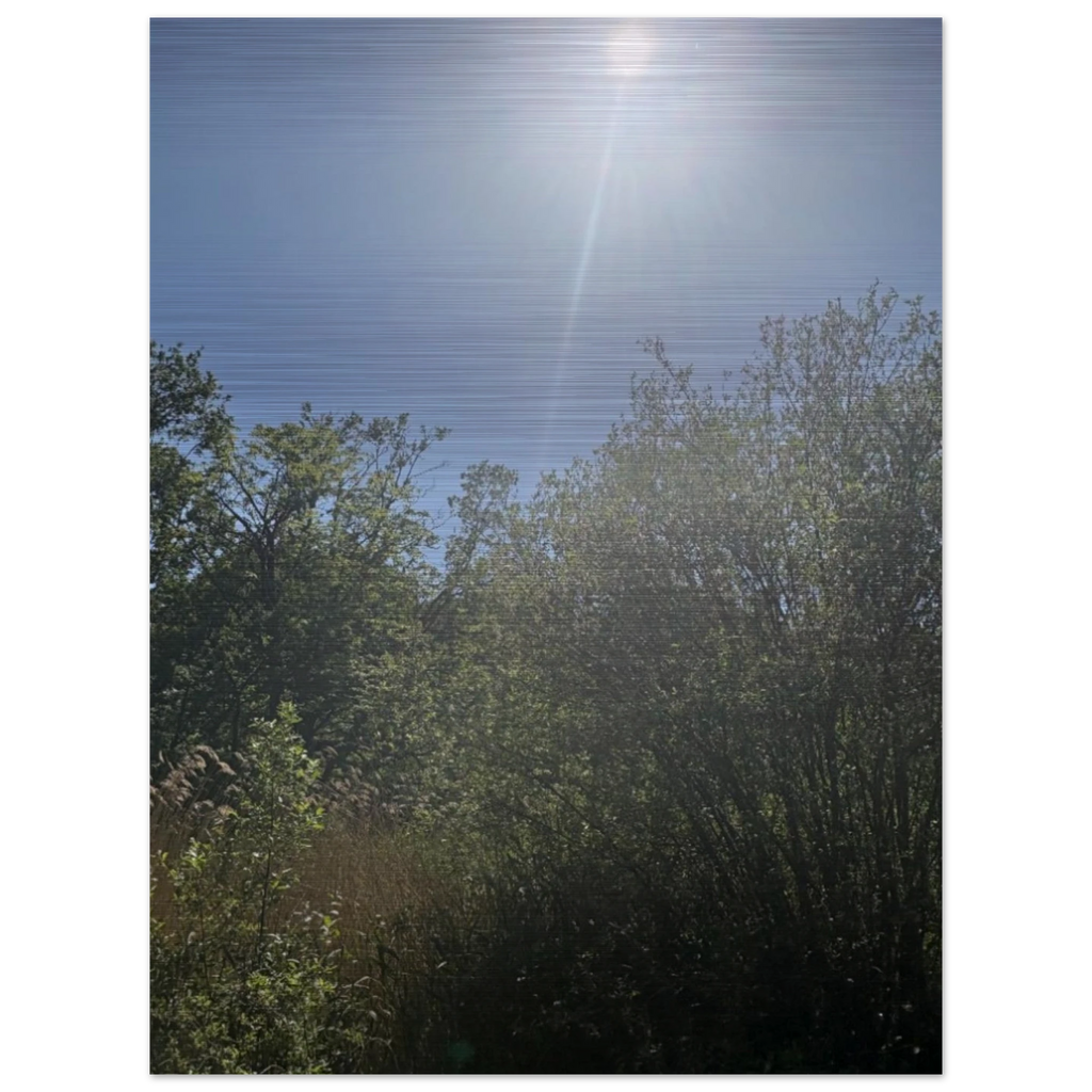 21976d2c-0838-4454-bfcf-728f9ed5ebd0