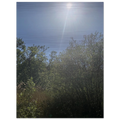 21976d2c-0838-4454-bfcf-728f9ed5ebd0