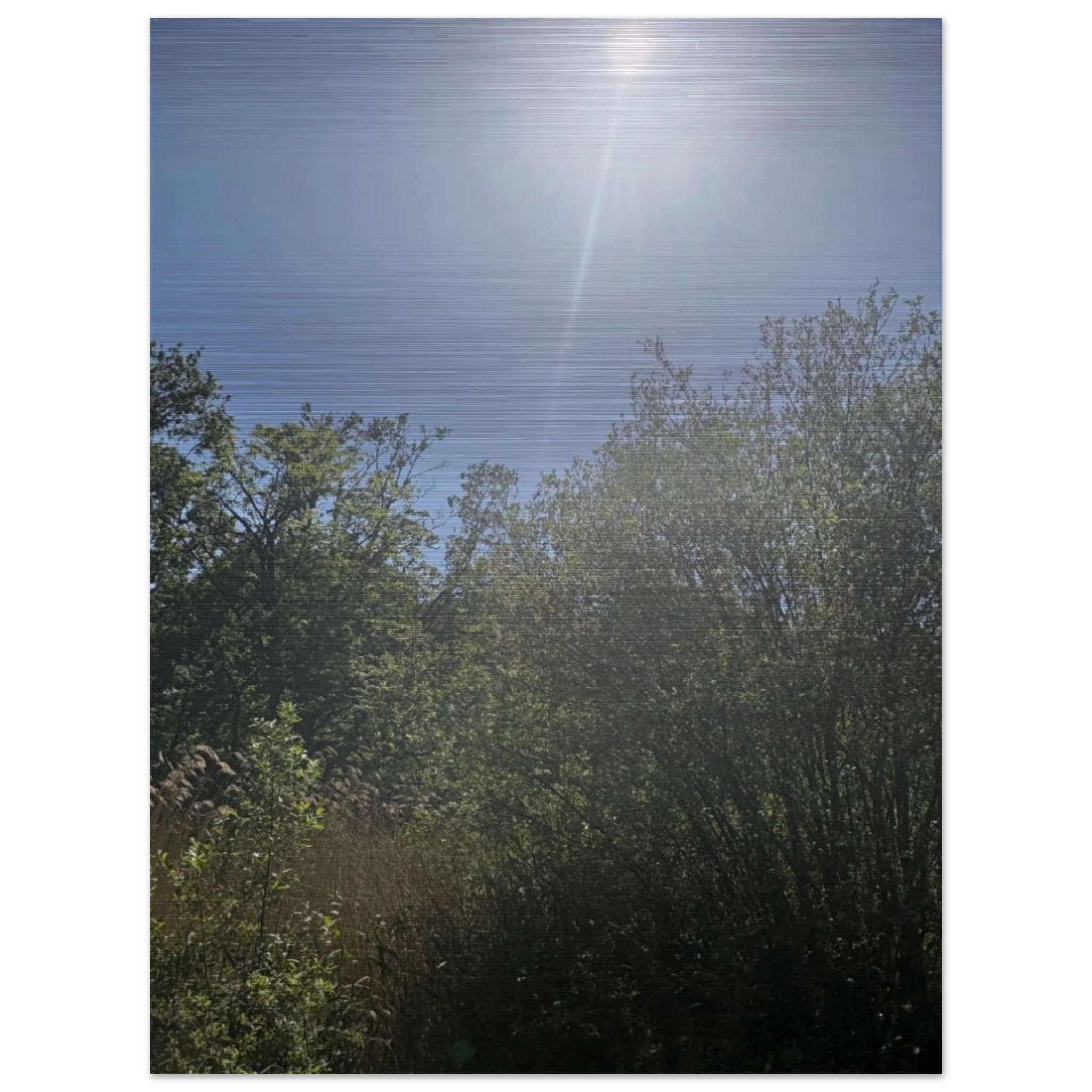 21976d2c-0838-4454-bfcf-728f9ed5ebd0