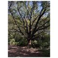 8862fd06-40b2-4d47-9d8b-f4b7709e53e0