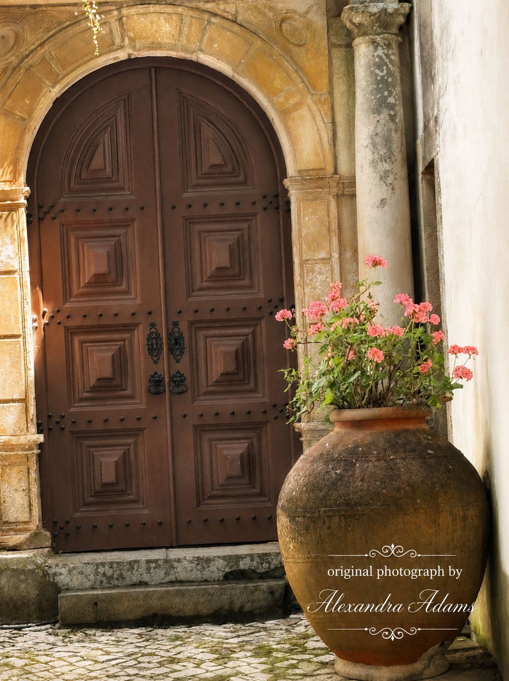 Original photograph by Alexandra Adams featuring an ornate arched wooden doorway, weathered stone architecture and a large terracotta urn filled with pink flowers, with an elegant white photography credit overlay