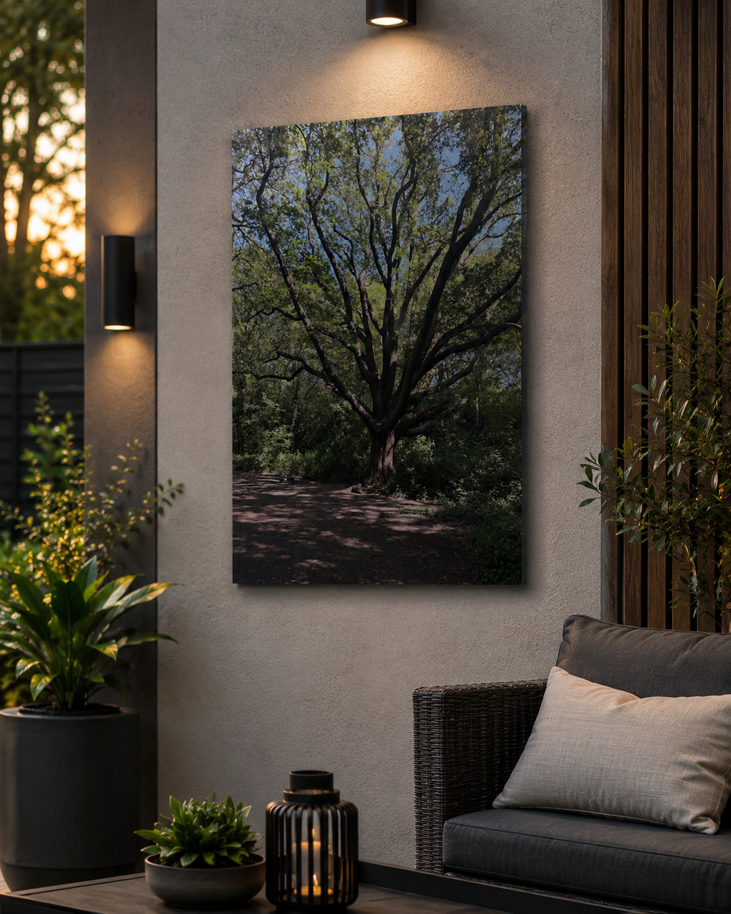 Where the Branches Remember | Original Nature Photography Aluminium Print by Alexandra Adams