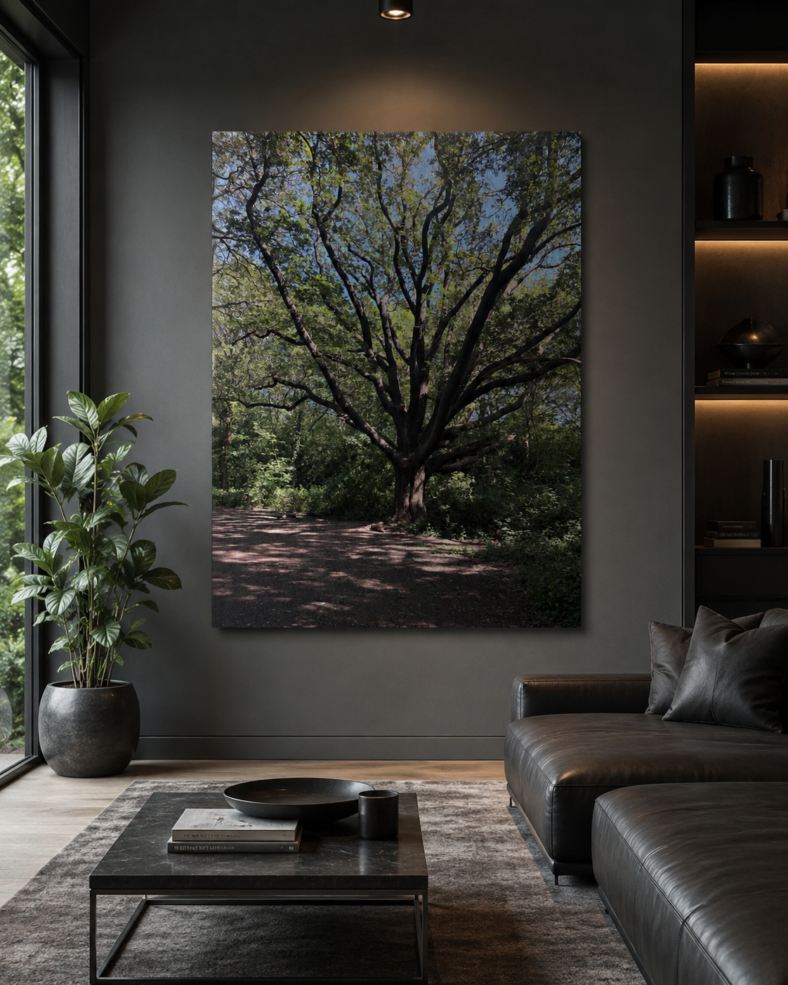 Where the Branches Remember | Original Nature Photography Aluminium Print by Alexandra Adams