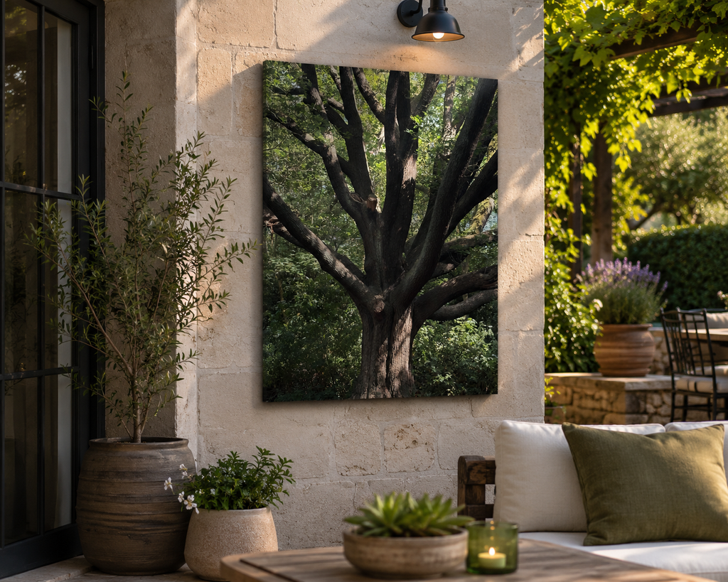 The Tree of Becoming | Original Nature Photography Aluminium Print by Alexandra Adams