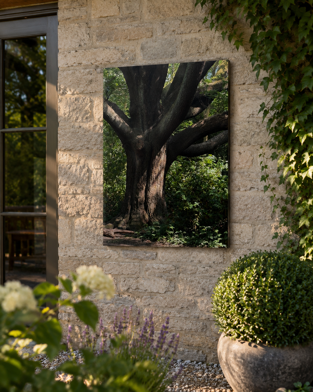 Where Healing Took Root | Original Nature Photography Aluminium Print by Alexandra Adams