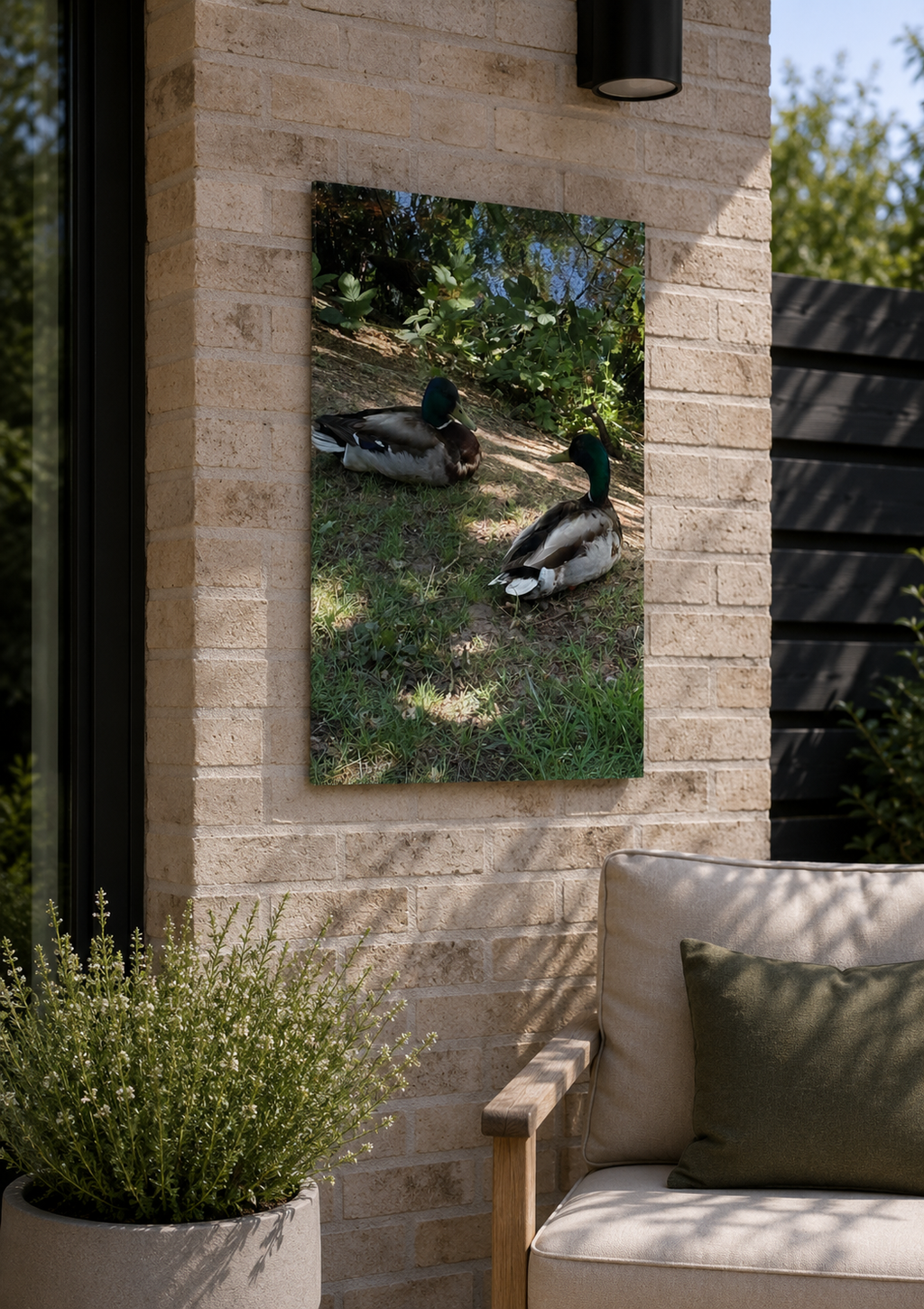 Companions in Stillness | Original Nature Photography Aluminium Print by Alexandra Adams