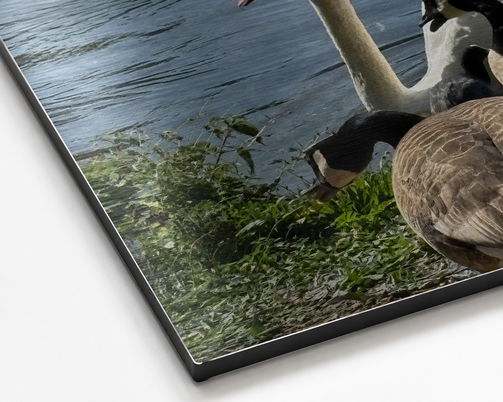 Among Friends | Original Nature Photography Aluminium Print by Alexandra Adams