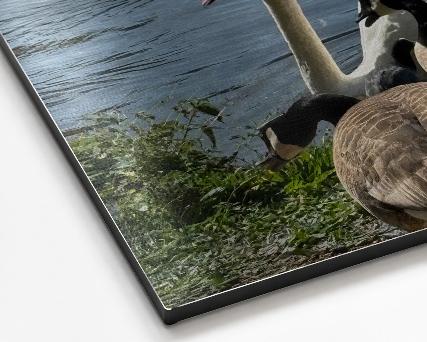 Among Friends | Original Nature Photography Aluminium Print by Alexandra Adams