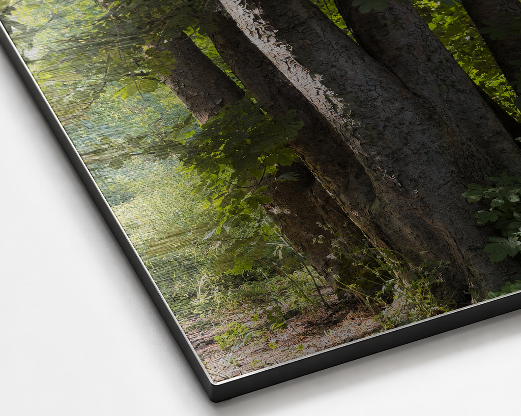 Rooted Together | Original Nature Photography Aluminium Print by Alexandra Adams