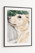 Custom Pet Portrait - Timeless Watercolour