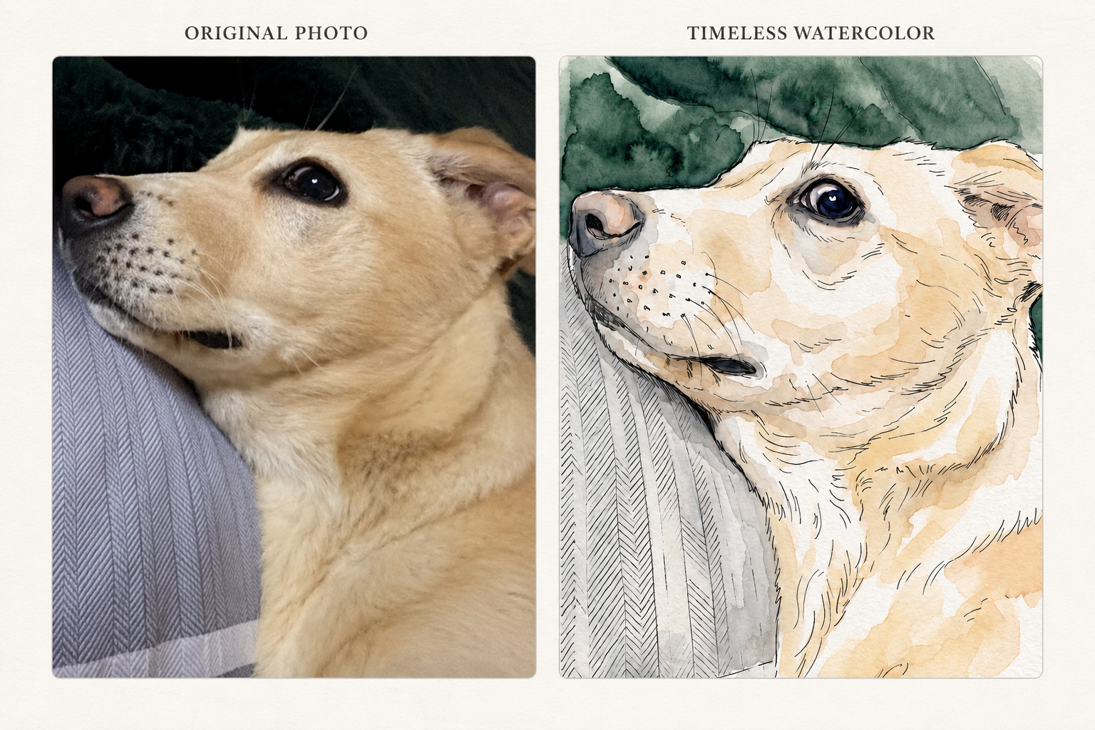 Custom Pet Portrait - Timeless Watercolour