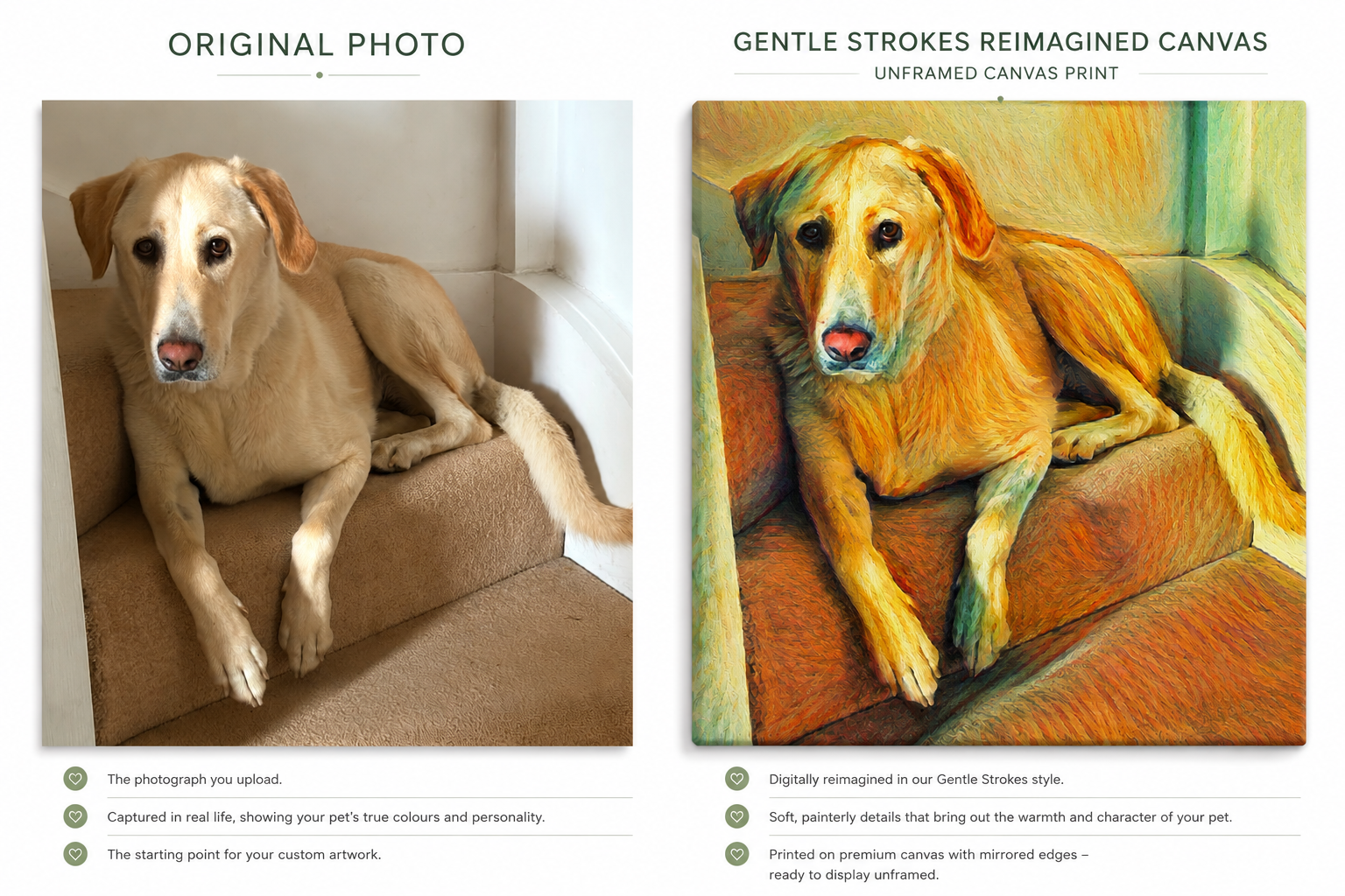 Custom Pet Portrait - Gentle Strokes Canvas