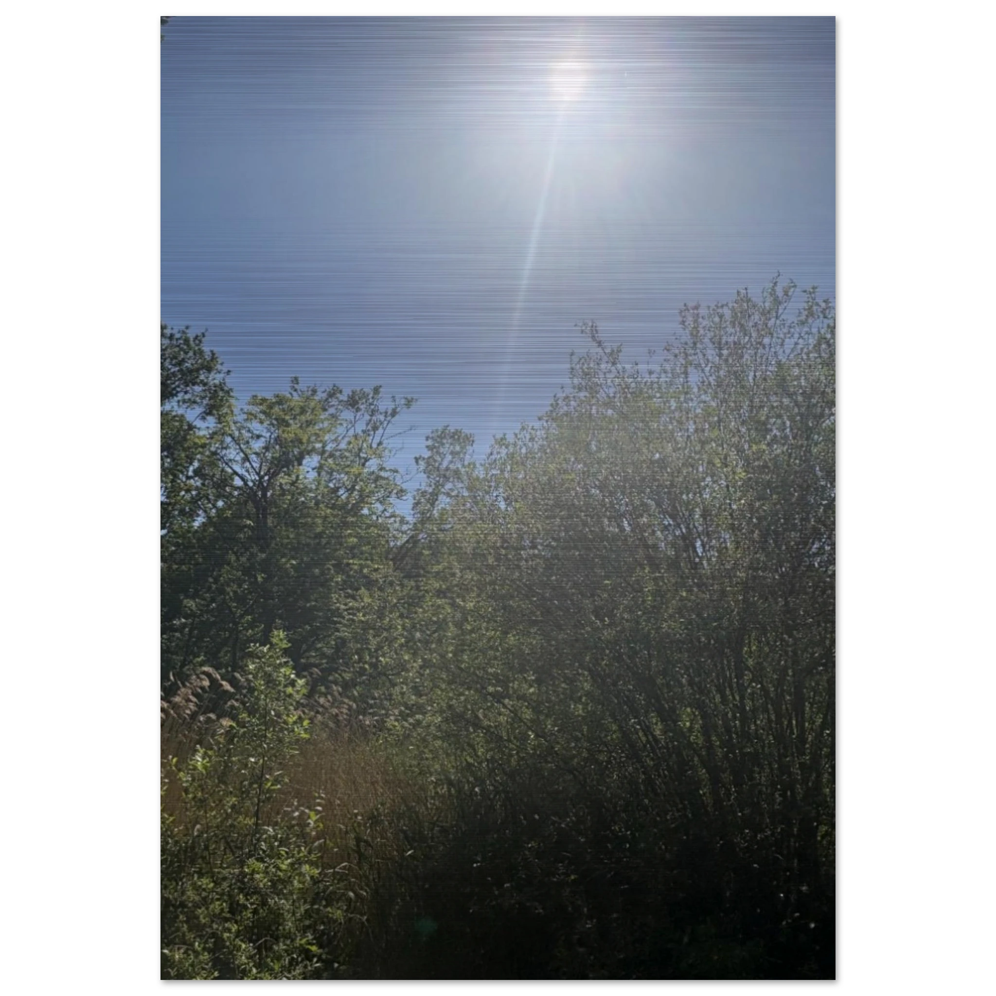 b2ea2acb-c07b-4340-951f-2467427d8969