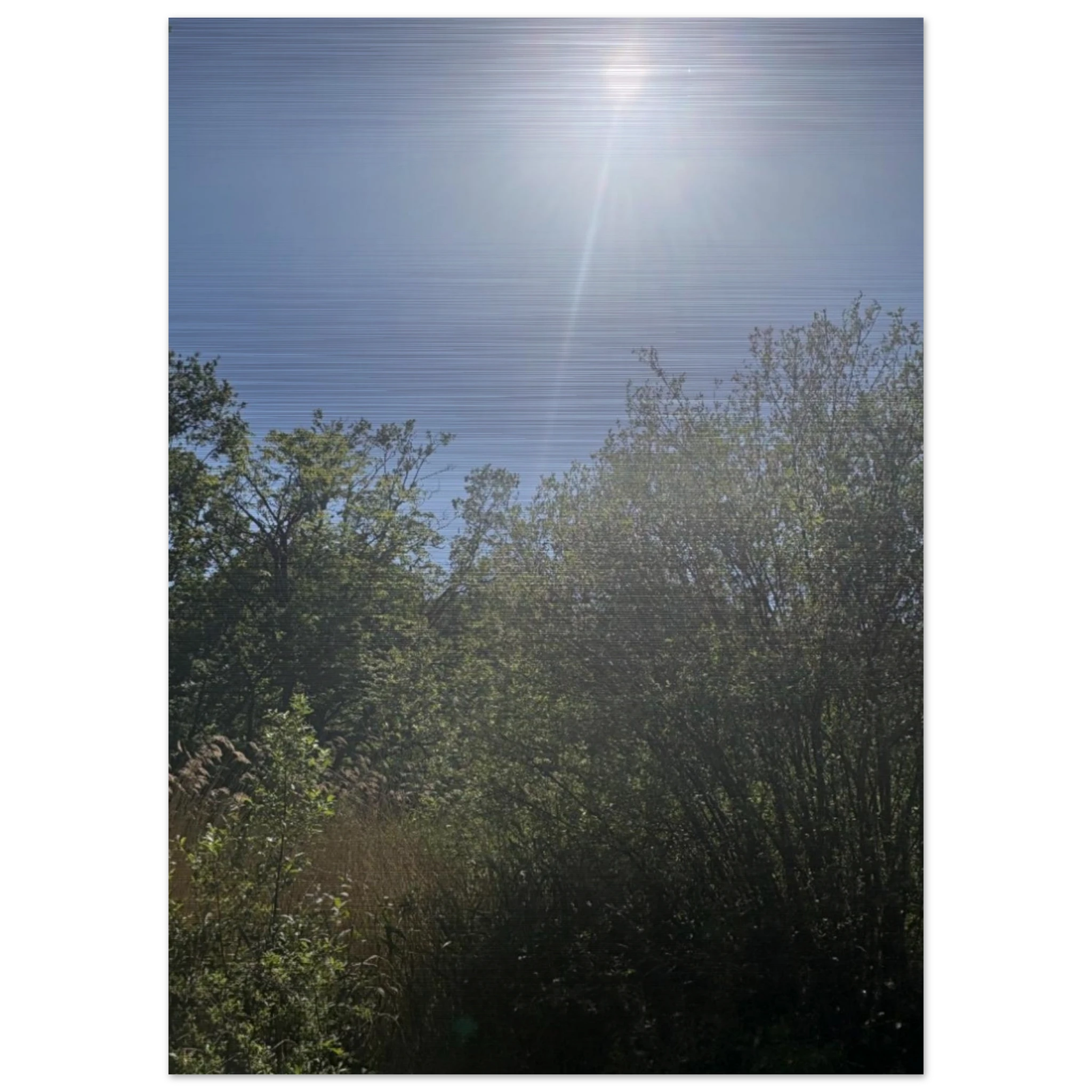 ca524e69-28c4-4046-a39c-ff57937fb9fd
