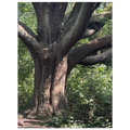 dd2013c8-3485-41b6-8708-7c814ebadbb6